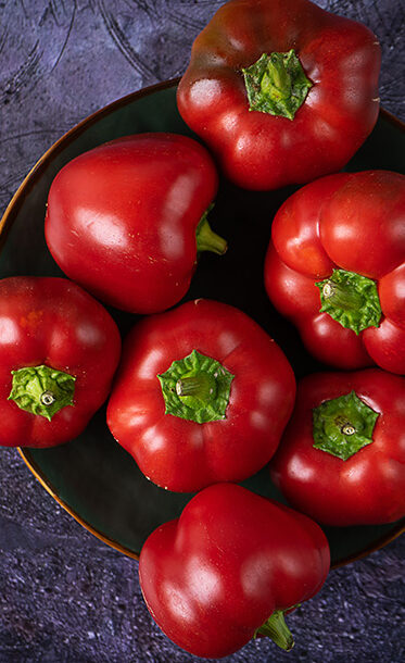 ggga-greenhouse-beef-tomatoes