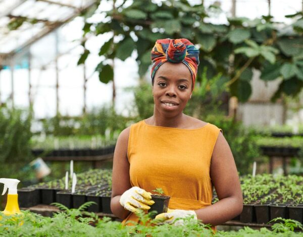 grenhouse-growers-african-lady-holding-plant-watch-this-video