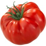 Fresh Tomatoes
