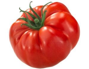 Fresh Tomatoes