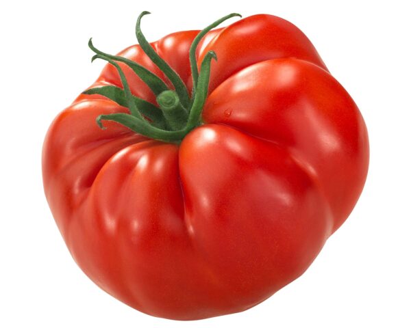 Fresh Tomatoes