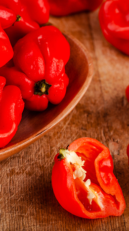 gga-greenhouse-habanero-pepper